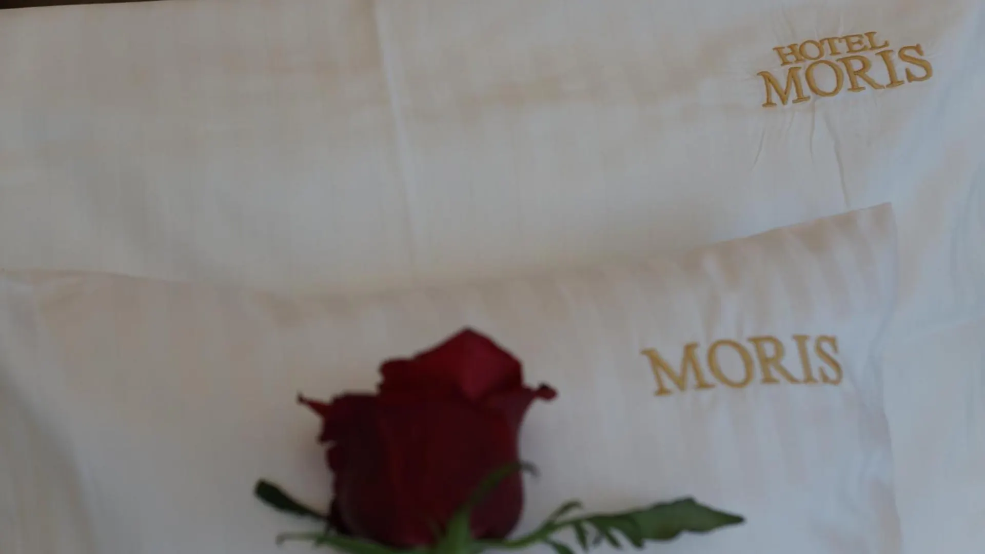 Moris Beach Hotel Gdańsk Aparthotel